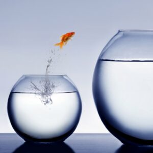 how to get what you want