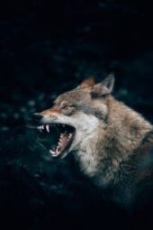 self-doubt and fear