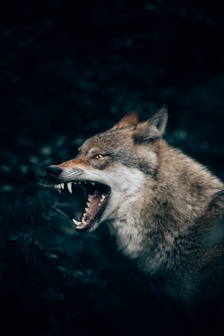 self-doubt and fear
