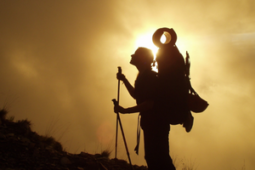 A lady hiker looking up the trekking trail (Success Through Faillure episode 344: How to Create Sustained Motivation and Lasting Change (Even If You're Totally Stuck))