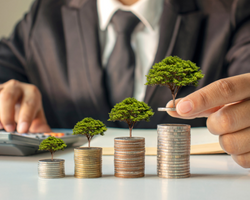 A man stacking up coins (Success Through Failure episode 365: Wealth Mastery: Systems and Habits for Mastering Your Financial Life)